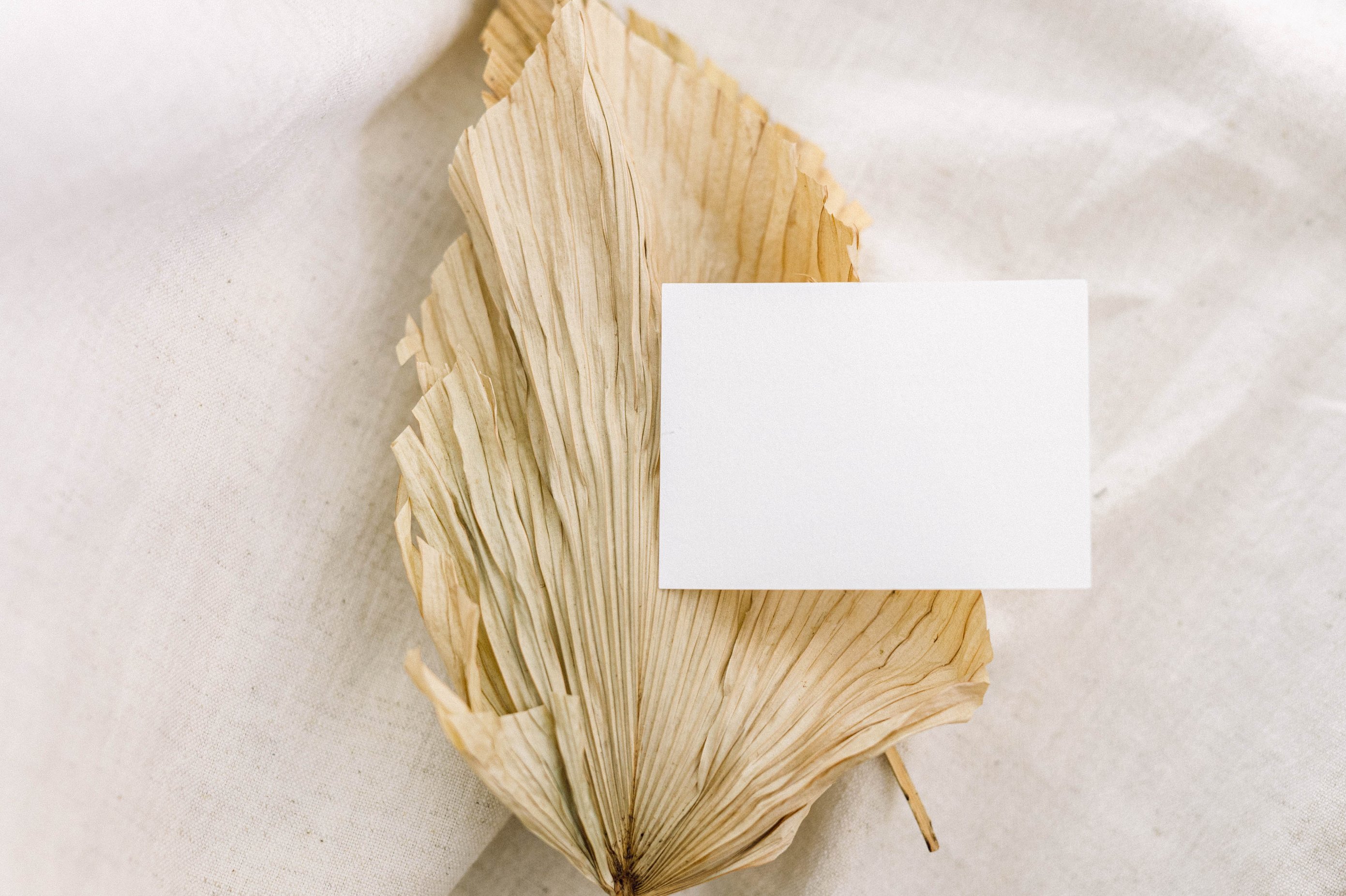 Neutral background with Sophisticated Business Card Mockup